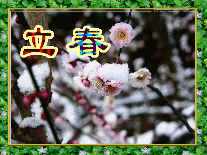 圖片